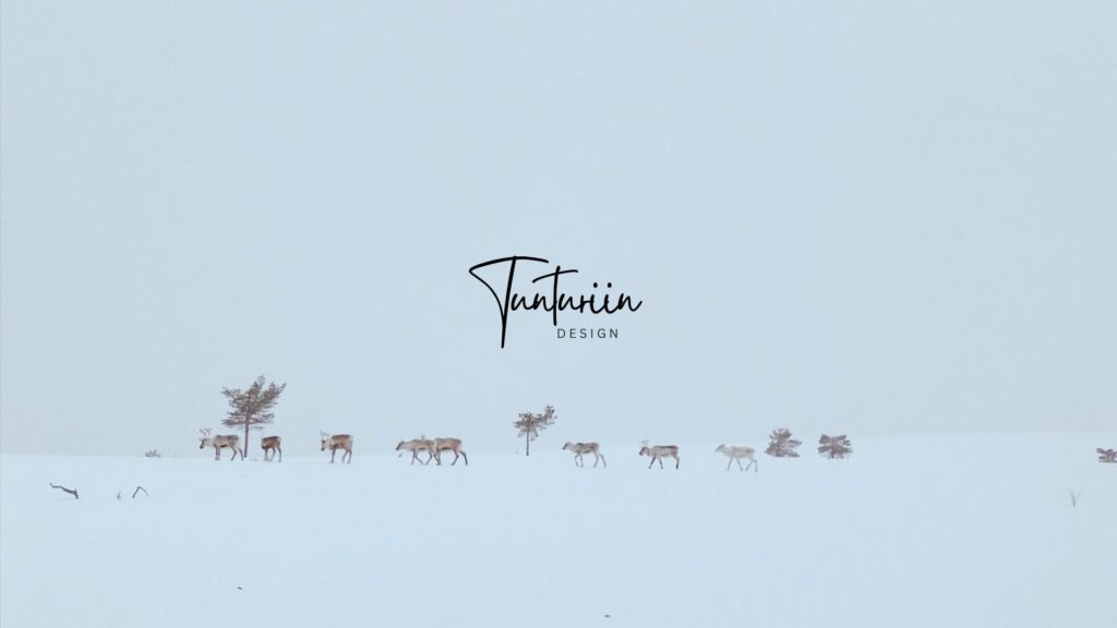 Reindeer in the fells